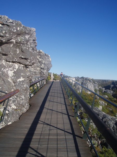 KeHa_in_South_Africa - 246